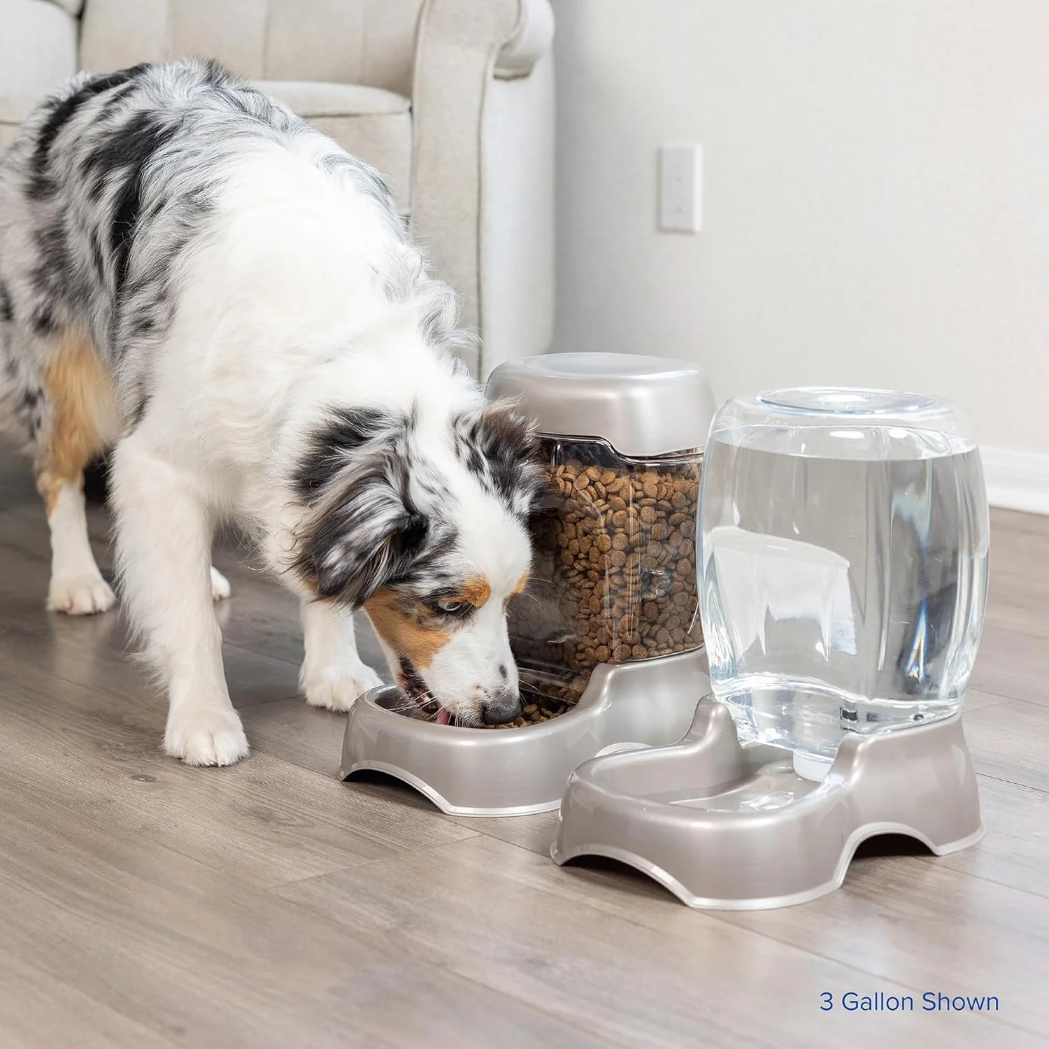 Petmate Pet Cafe Cat and Dog Water Dispenser - Water Bowl for Cats and Dogs - Image 7