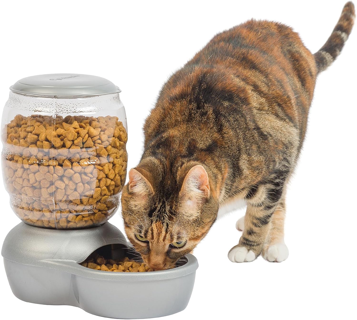 Petmate Replendish Feeder with Automatic Cat and Dog Feeder - Image 2