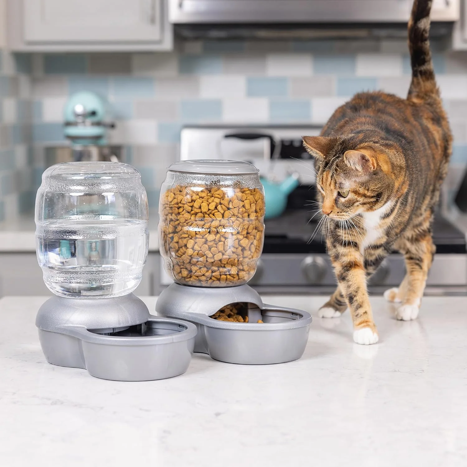 Petmate Replendish Feeder with Automatic Cat and Dog Feeder - Image 8