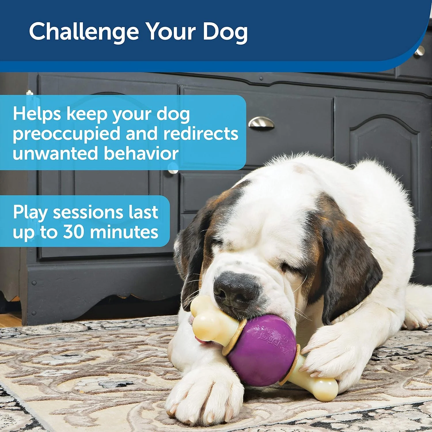 PetSafe® Busy Buddy® Bouncy Bone™, Treat Holding Dog Toy - Image 6