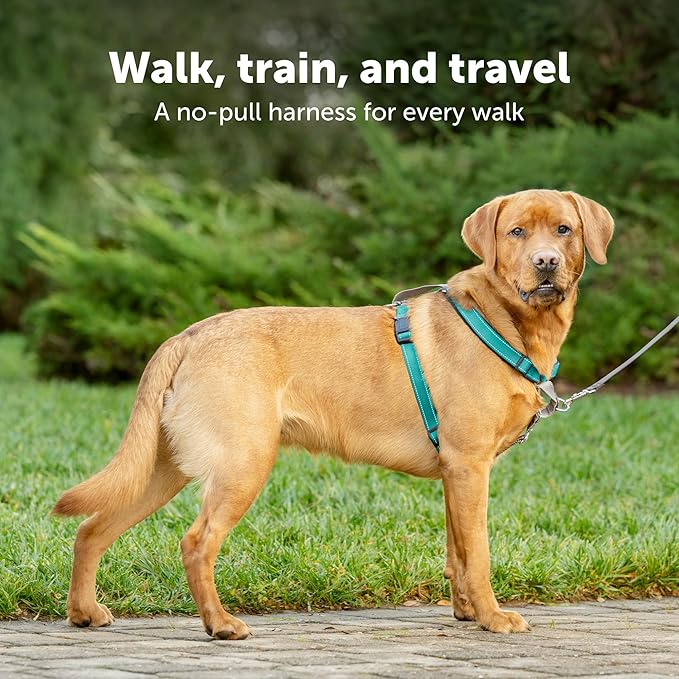 PetSafe 3 in 1 Dog Harness - No Pull Solution for Dogs - Reflective Dog Harness - Front D-Ring Clip Helps Stop Pulling - Comfortable Padded Straps - Top Handle Enhances Control - Image 3