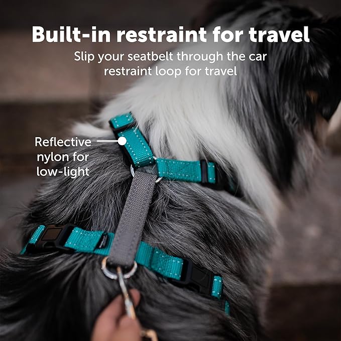 PetSafe 3 in 1 Dog Harness - No Pull Solution for Dogs - Reflective Dog Harness - Front D-Ring Clip Helps Stop Pulling - Comfortable Padded Straps - Top Handle Enhances Control - Image 5