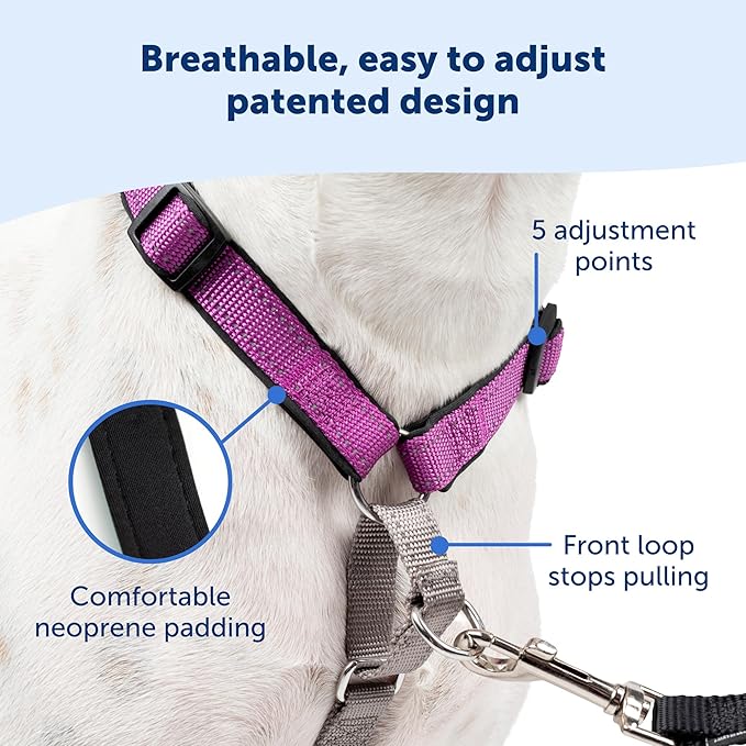 PetSafe 3 in 1 Dog Harness - No Pull Solution for Dogs - Reflective Dog Harness - Front D-Ring Clip Helps Stop Pulling - Comfortable Padded Straps - Top Handle Enhances Control - Image 6