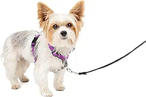 PetSafe 3 in 1 Dog Harness - No Pull Solution for Dogs - Reflective Dog Harness - Front D-Ring Clip Helps Stop Pulling - Comfortable Padded Straps - Top Handle Enhances Control - Image 7