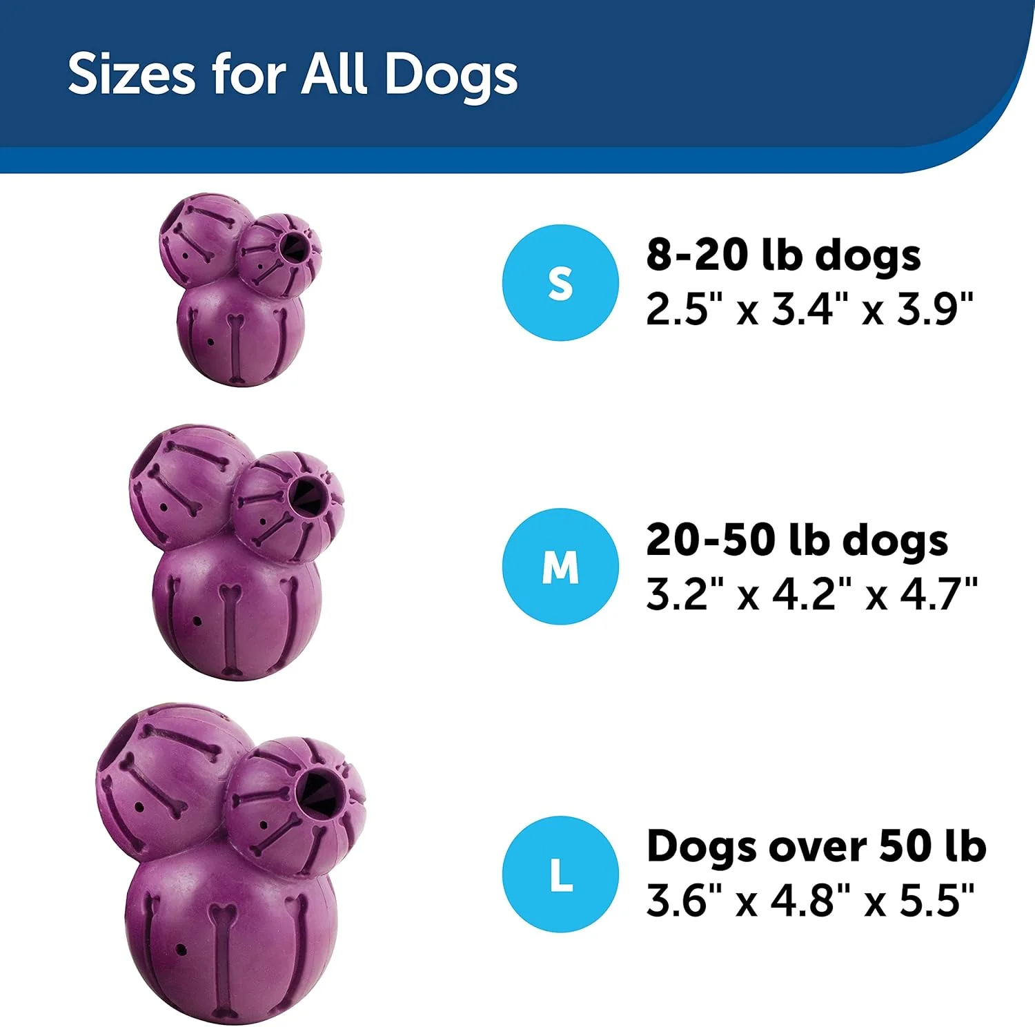 PetSafe Busy Buddy Barnacle - Dog Chew Toy - Treat Dispensing Dog Toys - Image 6