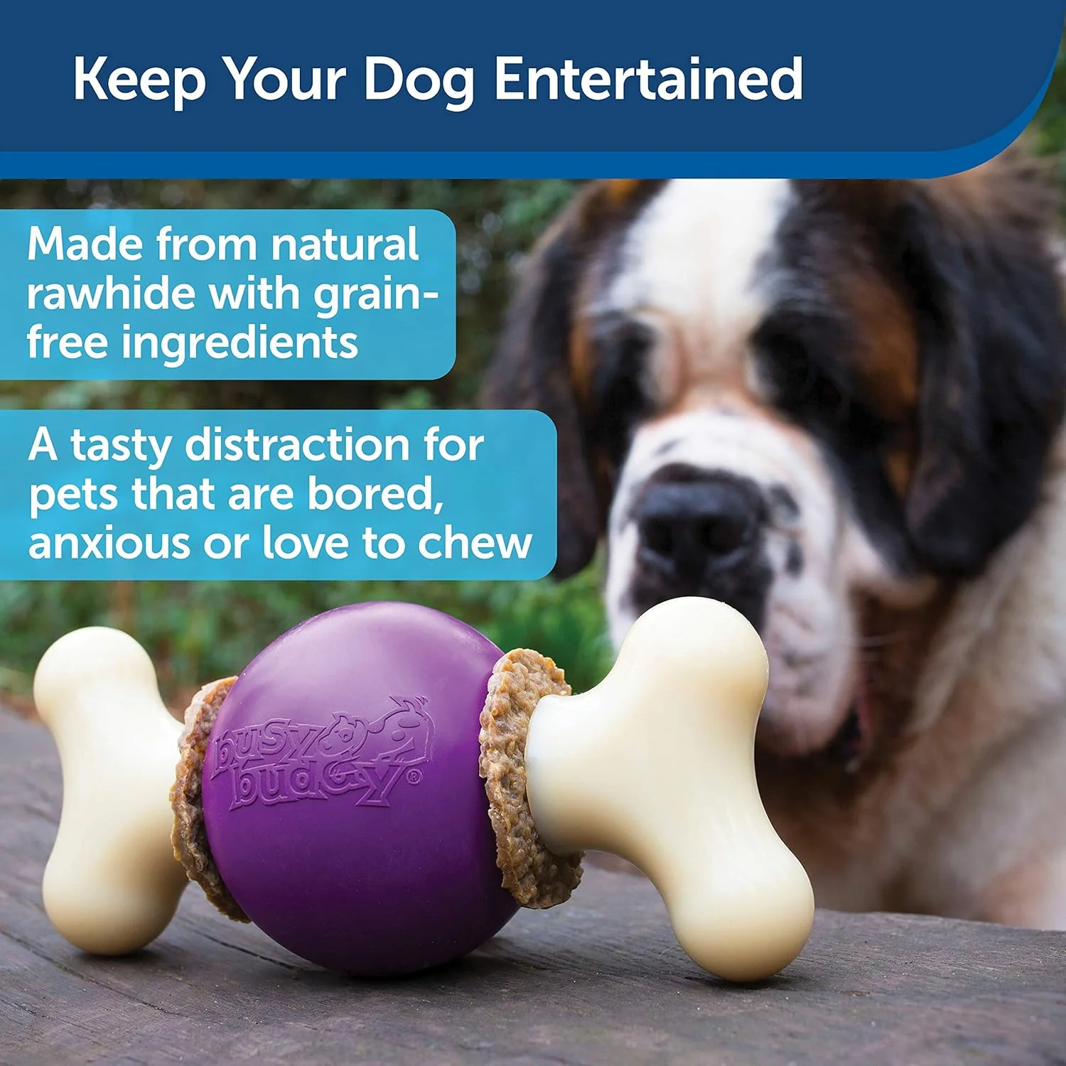PetSafe Busy Buddy Bouncy Bone Dog Toy - Treat-Holding Toys for Dogs- Scented for Enhanced Sensory Stimulation- Rigorously Tested Ingredients- for Aggressive Chewers- Treat Refills Available - M/L - Image 2