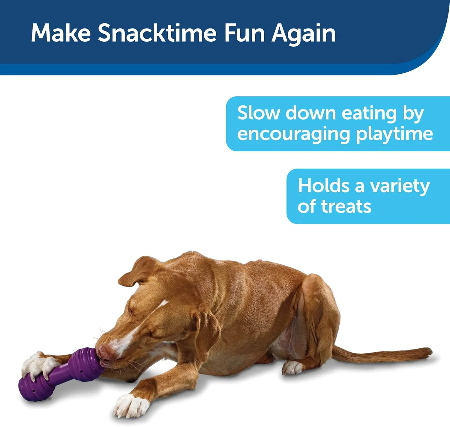 PetSafe Busy Buddy Chuckle Sound Dog Chew Toy - Treat Dispenser, BB-CHK, Purple,Medium/Large - Image 3