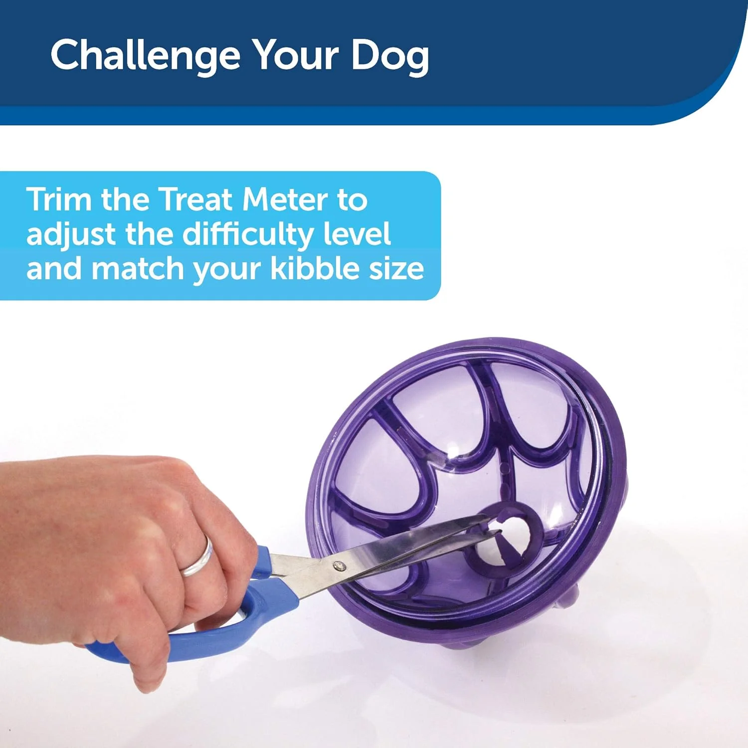 PetSafe Busy Buddy Kibble Nibble - Dog Toy - Treat and Food Dispenser - Slow Feeder - Image 9