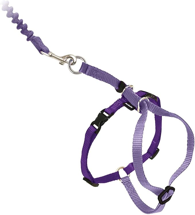 PetSafe Come with Me Kitty Harness and Bungee Leash, Large - Image 2