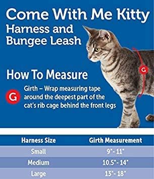 PetSafe Come with Me Kitty Harness and Bungee Leash, Small - Image 2