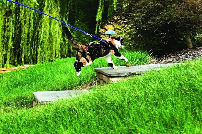 PetSafe Come with Me Kitty Harness and Bungee Leash, Small - Image 3