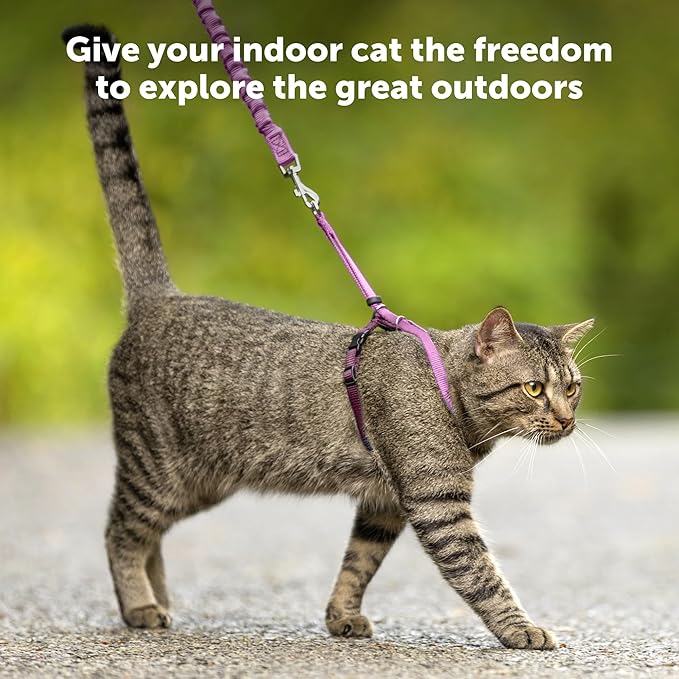PetSafe Come with Me Kitty Harness and Bungee Leash, Small - Image 7