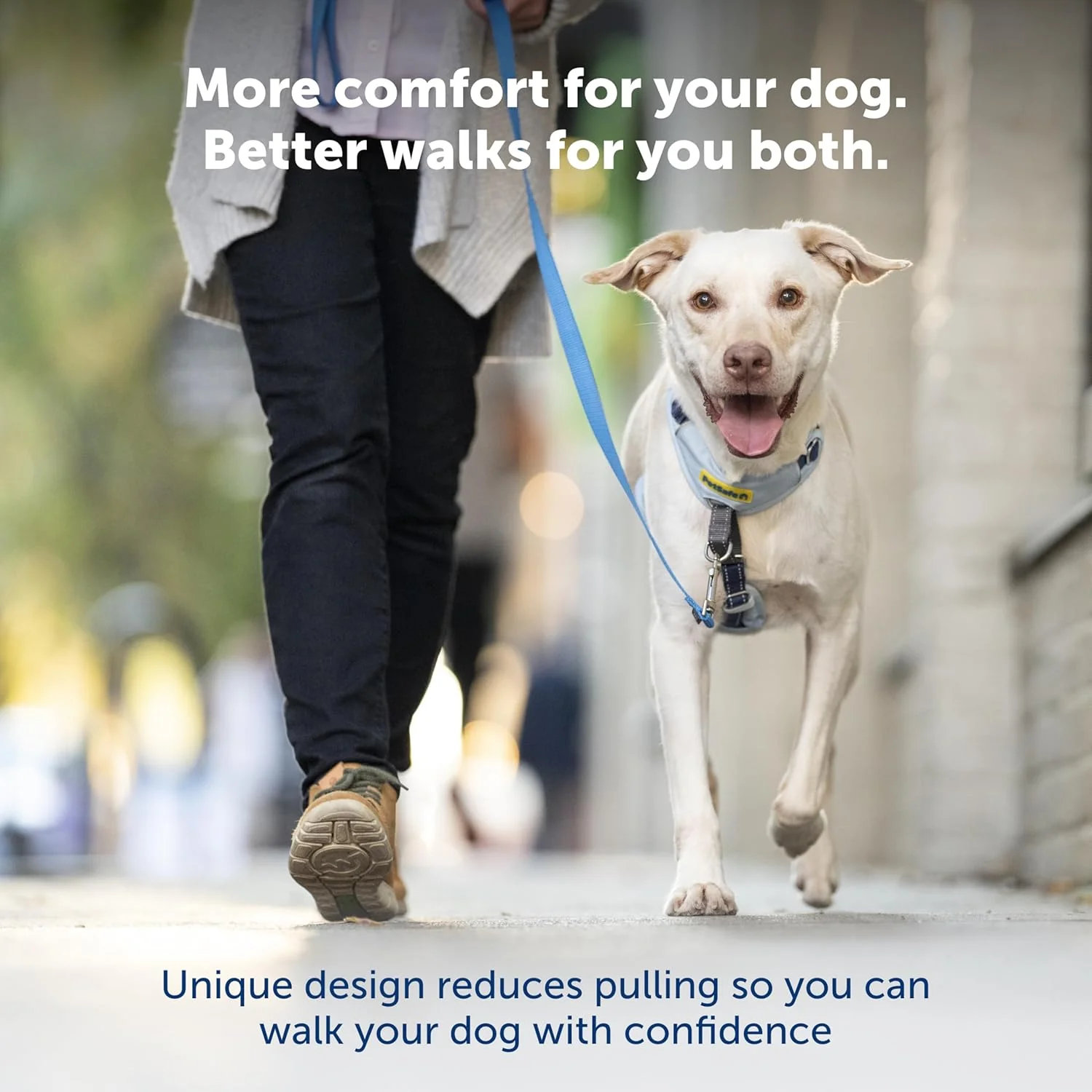 PetSafe Easy Walk Comfort No-Pull Dog Harness Full-Body Padding - Better Walks on The First Use - 5 Points of Adjustment , Blue - Image 2