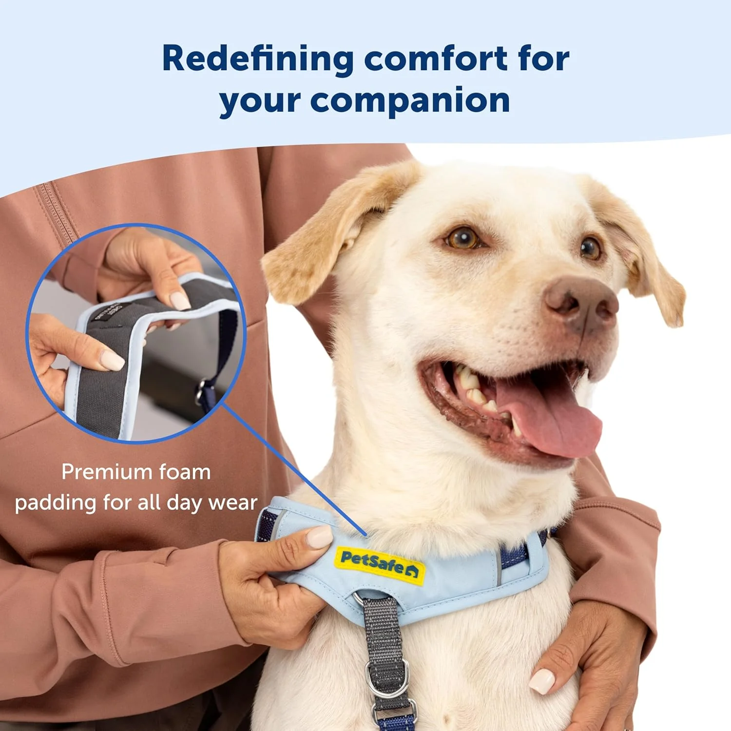 PetSafe Easy Walk Comfort No-Pull Dog Harness Full-Body Padding - Better Walks on The First Use - 5 Points of Adjustment , Blue - Image 3