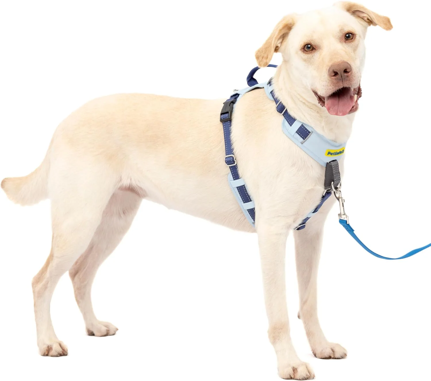 PetSafe Easy Walk Comfort No-Pull Dog Harness Full-Body Padding - Better Walks on The First Use - 5 Points of Adjustment , Blue - Image 7