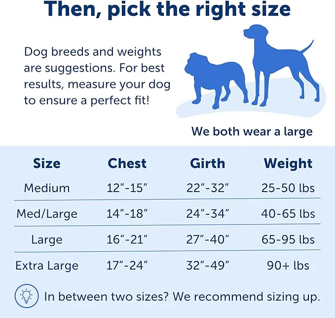 PetSafe Easy Walk Deluxe Dog Harness, No Pull Dog Harness – Perfect for Leash & Harness Training – Stops Pets from Pulling and Choking on Walks – Small - Image 3