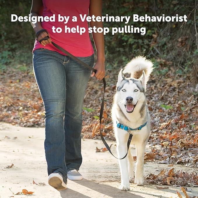 PetSafe Easy Walk Deluxe Dog Harness, No Pull Dog Harness – Perfect for Leash & Harness Training – Stops Pets from Pulling and Choking on Walks – Small - Image 4