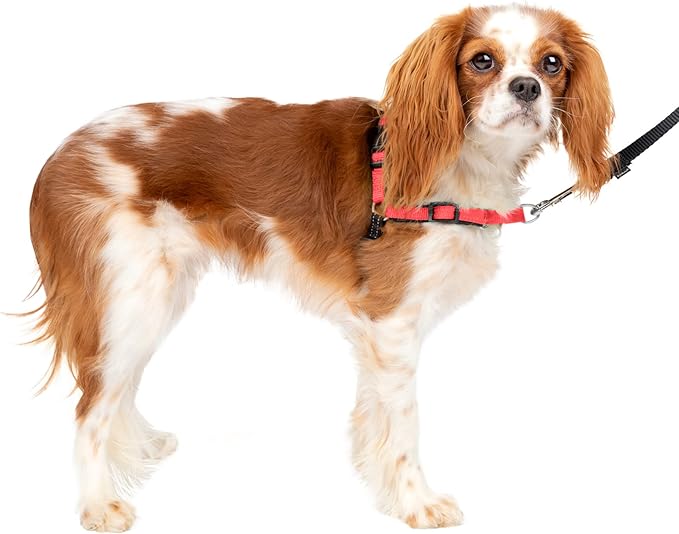 PetSafe Easy Walk Deluxe Dog Harness, No Pull Dog Harness – Perfect for Leash & Harness Training – Stops Pets from Pulling and Choking on Walks – Small - Image 8