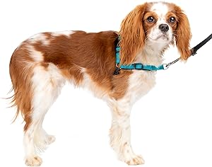 PetSafe Easy Walk Deluxe Dog Harness, No Pull Dog Harness – Perfect for Leash & Harness Training – Stops Pets from Pulling and Choking on Walks – Small - Image 9