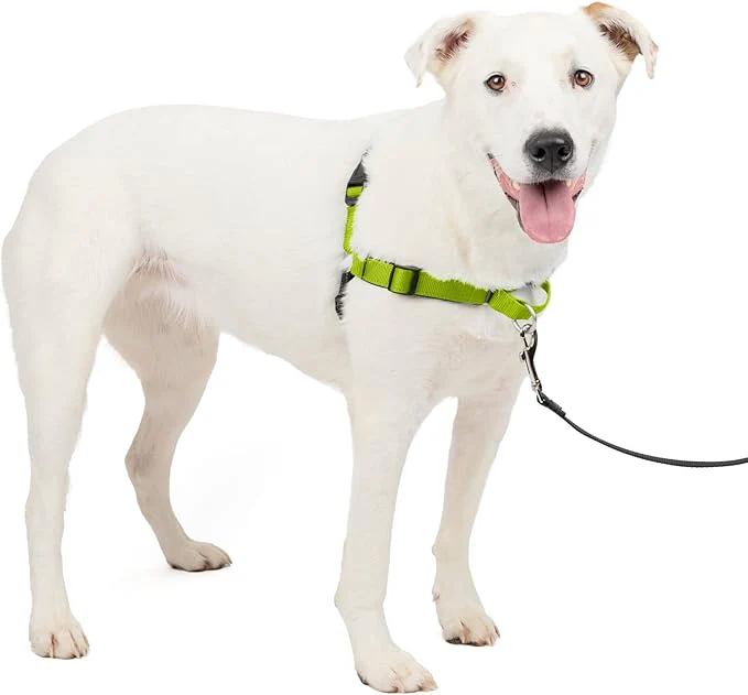 PetSafe Easy Walk Deluxe Dog Harness, No Pull Dog Harness – Perfect for Leash & Harness Training – Stops Pets from Pulling and Choking on Walks – Medium/Large - Image 8