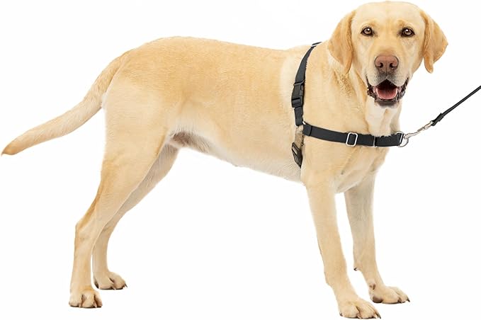 PetSafe Easy Walk No-Pull Dog Harness - The Ultimate Harness to Help Stop Pulling - Take Control & Teach Better Leash Manners - Helps Prevent Pets Pulling on Walks, Large - Image 6