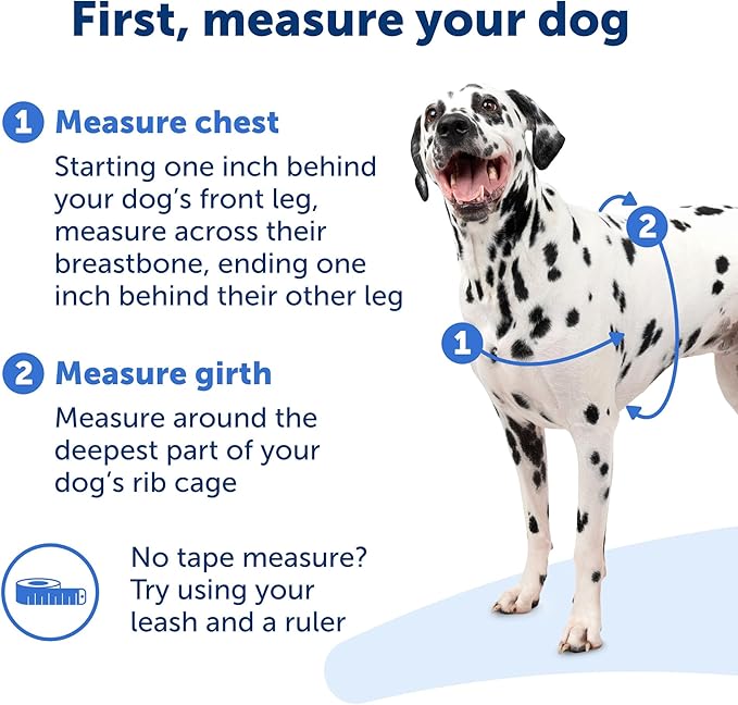 PetSafe Easy Walk No-Pull Dog Harness - The Ultimate Harness to Help Stop Pulling - Take Control & Teach Better Leash Manners - Helps Prevent Pets Pulling on Walks, Medium - Image 6