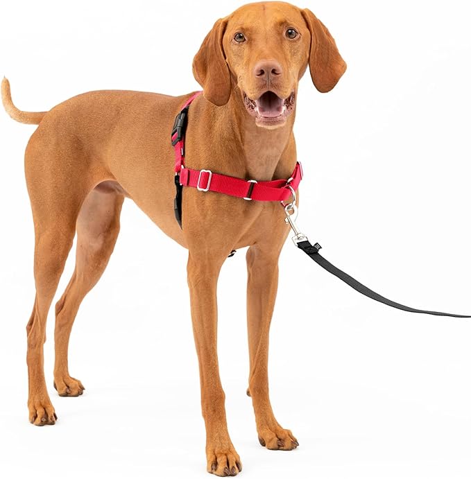 PetSafe Easy Walk No-Pull Dog Harness - The Ultimate Harness to Help Stop Pulling - Take Control & Teach Better Leash Manners - Helps Prevent Pets Pulling on Walks, Medium - Image 7