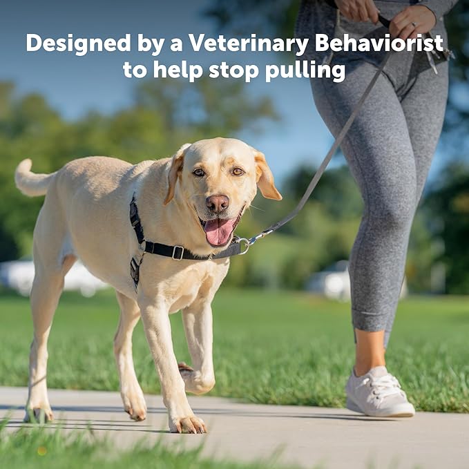 PetSafe Easy Walk No-Pull Dog Harness - The Ultimate Harness to Help Stop Pulling - Take Control & Teach Better Leash Manners - Helps Prevent Pets Pulling on Walks, Small - Image 2