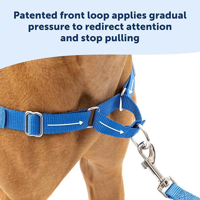 PetSafe Easy Walk No-Pull Dog Harness - The Ultimate Harness to Help Stop Pulling - Take Control & Teach Better Leash Manners - Helps Prevent Pets Pulling on Walks, Small/Medium - Image 4