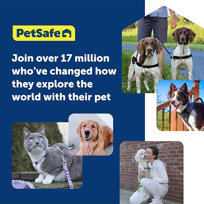 PetSafe Easy Walk No-Pull Dog Harness - The Ultimate Harness to Help Stop Pulling - Take Control & Teach Better Leash Manners - Helps Prevent Pets Pulling on Walks, Small/Medium - Image 5