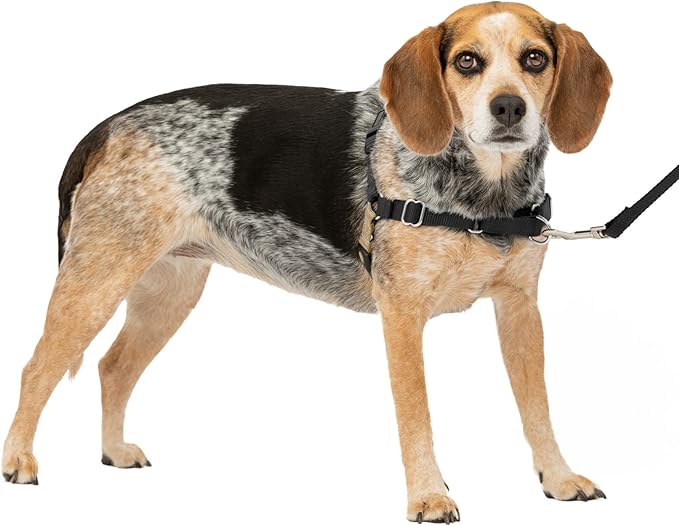 PetSafe Easy Walk No-Pull Dog Harness - The Ultimate Harness to Help Stop Pulling - Take Control & Teach Better Leash Manners - Helps Prevent Pets Pulling on Walks, Small/Medium - Image 7