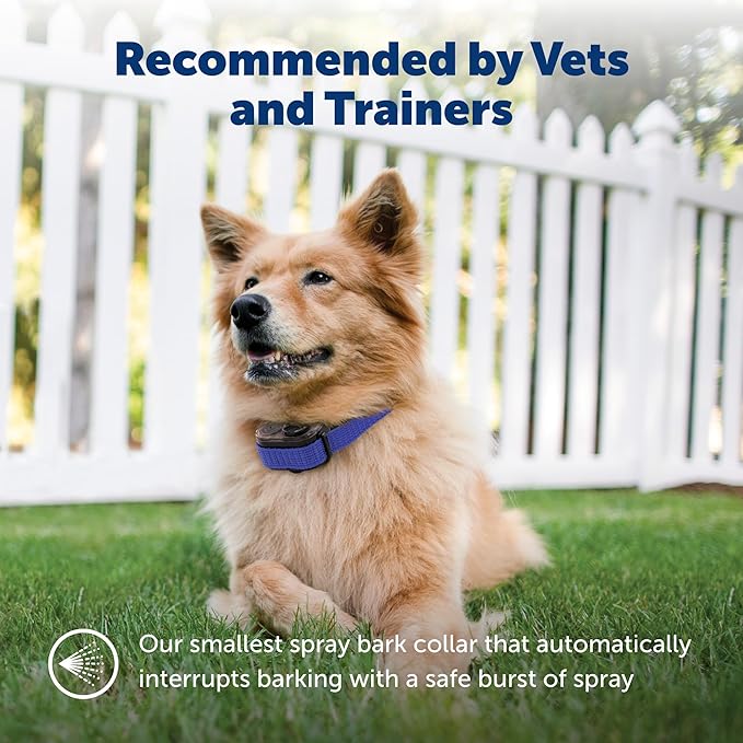 PetSafe Elite Little Dog Spray Bark Control for Small Dogs from 8 to 55lbs, Citronella Spray, Anti-Bark Device - Image 5