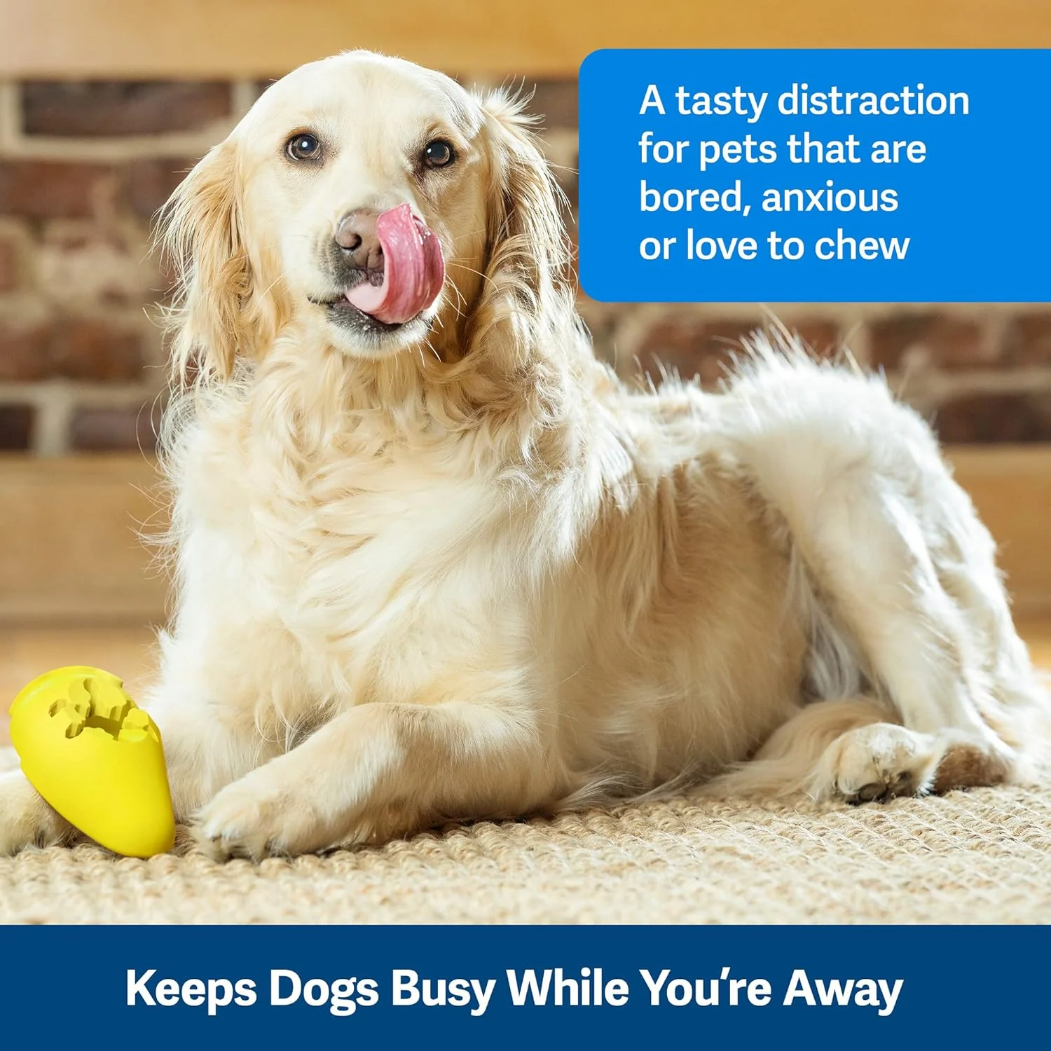 PetSafe Frosty Cone Dog Toys – Fill and Freeze Treat Holding Chew Toy – BPA Free Rubber – French Vanilla Scented – Interactive Pet Puzzle for Boredom or Separation Anxiety - Image 3