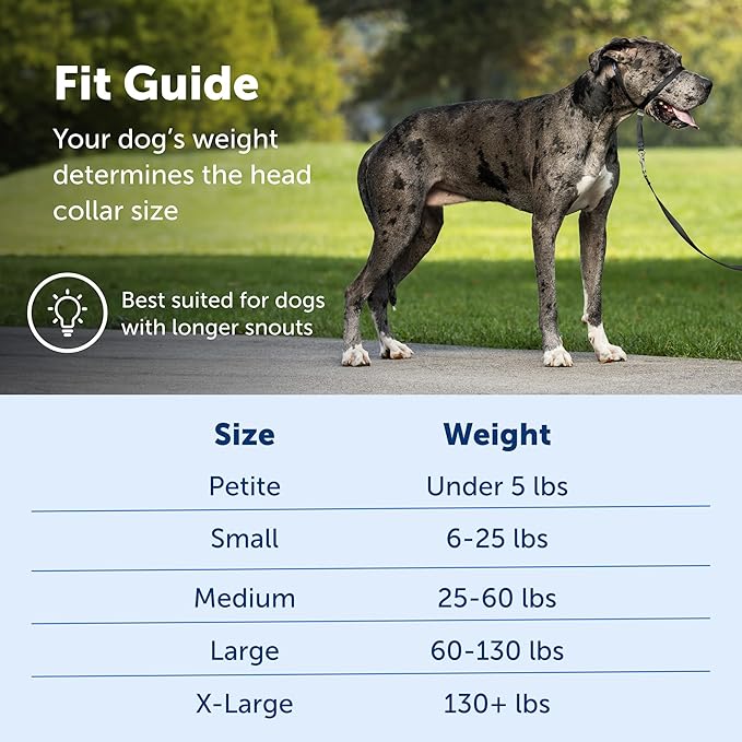 PetSafe Gentle Leader No-Pull Dog Headcollar - The Ultimate Solution to Pulling - Redirects Your Dog's Pulling for Easier Walks - Helps You Regain Control - Petite - Image 3