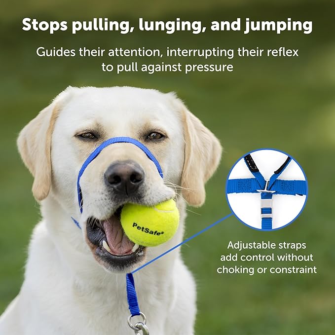 PetSafe Gentle Leader No-Pull Dog Headcollar - The Ultimate Solution to Pulling - Redirects Your Dog's Pulling for Easier Walks - Helps You Regain Control - X-Large - Image 5
