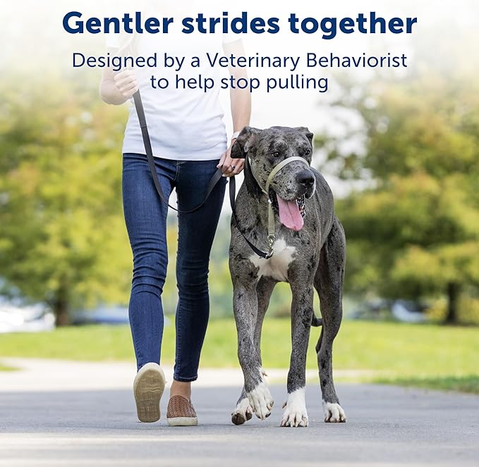 PetSafe Gentle Leader No-Pull Dog Headcollar - The Ultimate Solution to Pulling - Redirects Your Dog's Pulling for Easier Walks - Helps You Regain Control - X-Large - Image 6