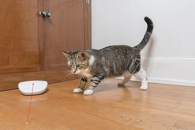 PetSafe Laser Tail Cat Toy – Fun and Safe Laser Light Game for Cats – Hands Free Play,White - Image 5