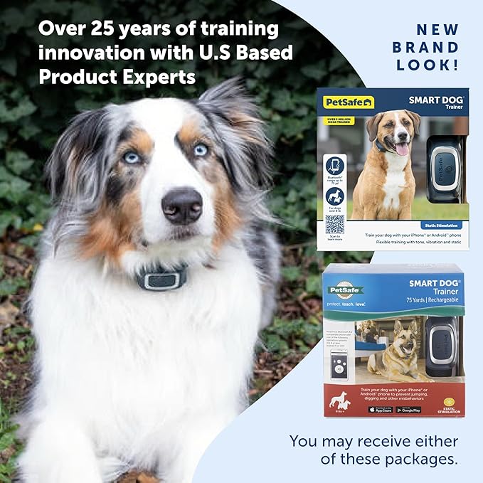 PetSafe Smart Dog Training Collar – Uses Smartphone as Handheld Remote Control – Tone, Vibration, 1-15 Levels of Static Stimulation – Bluetooth Wireless System – All in One Pet Training Solution - Image 4