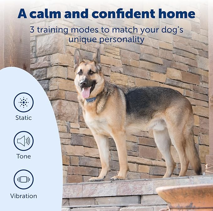 PetSafe Smart Dog Training Collar – Uses Smartphone as Handheld Remote Control – Tone, Vibration, 1-15 Levels of Static Stimulation – Bluetooth Wireless System – All in One Pet Training Solution - Image 5