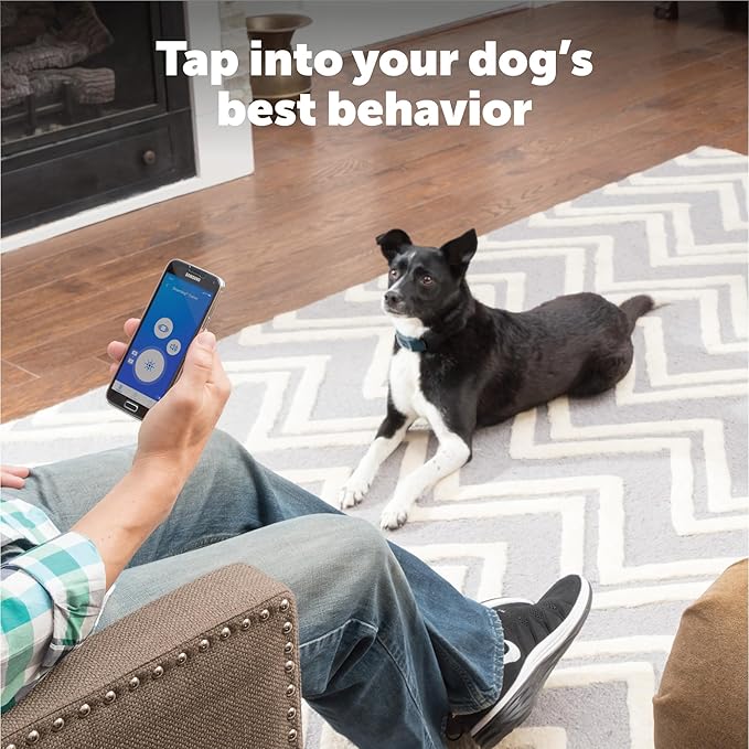 PetSafe Smart Dog Training Collar – Uses Smartphone as Handheld Remote Control – Tone, Vibration, 1-15 Levels of Static Stimulation – Bluetooth Wireless System – All in One Pet Training Solution - Image 6