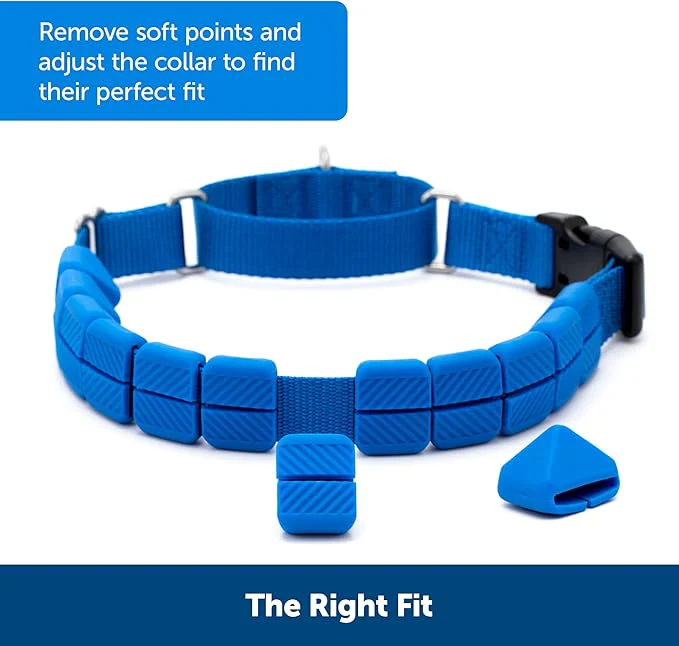 PetSafe Soft Point Training Collar - Helps Stop Pulling - Safer Than Prong or Choke Collars - Teaches Better Leash Manners - No Pull Training Collar with Rubber Points for Dogs - Medium - Image 2