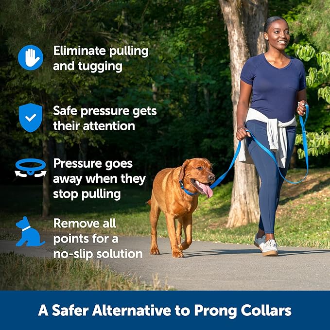 PetSafe Soft Point Training Collar - Helps Stop Pulling - Safer Than Prong or Choke Collars - Teaches Better Leash Manners - No Pull Training Collar with Rubber Points for Dogs - Medium - Image 4