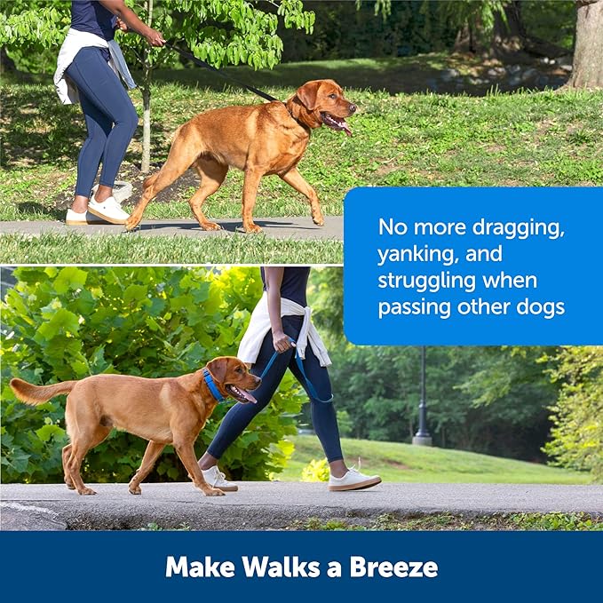 PetSafe Soft Point Training Collar - Helps Stop Pulling - Safer Than Prong or Choke Collars - Teaches Better Leash Manners - No Pull Training Collar with Rubber Points for Dogs - Medium - Image 5