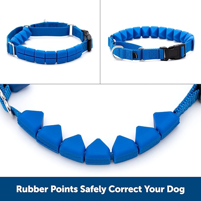 PetSafe Soft Point Training Collar - Helps Stop Pulling - Safer Than Prong or Choke Collars - Teaches Better Leash Manners - No Pull Training Collar with Rubber Points for Dogs - Medium - Image 6