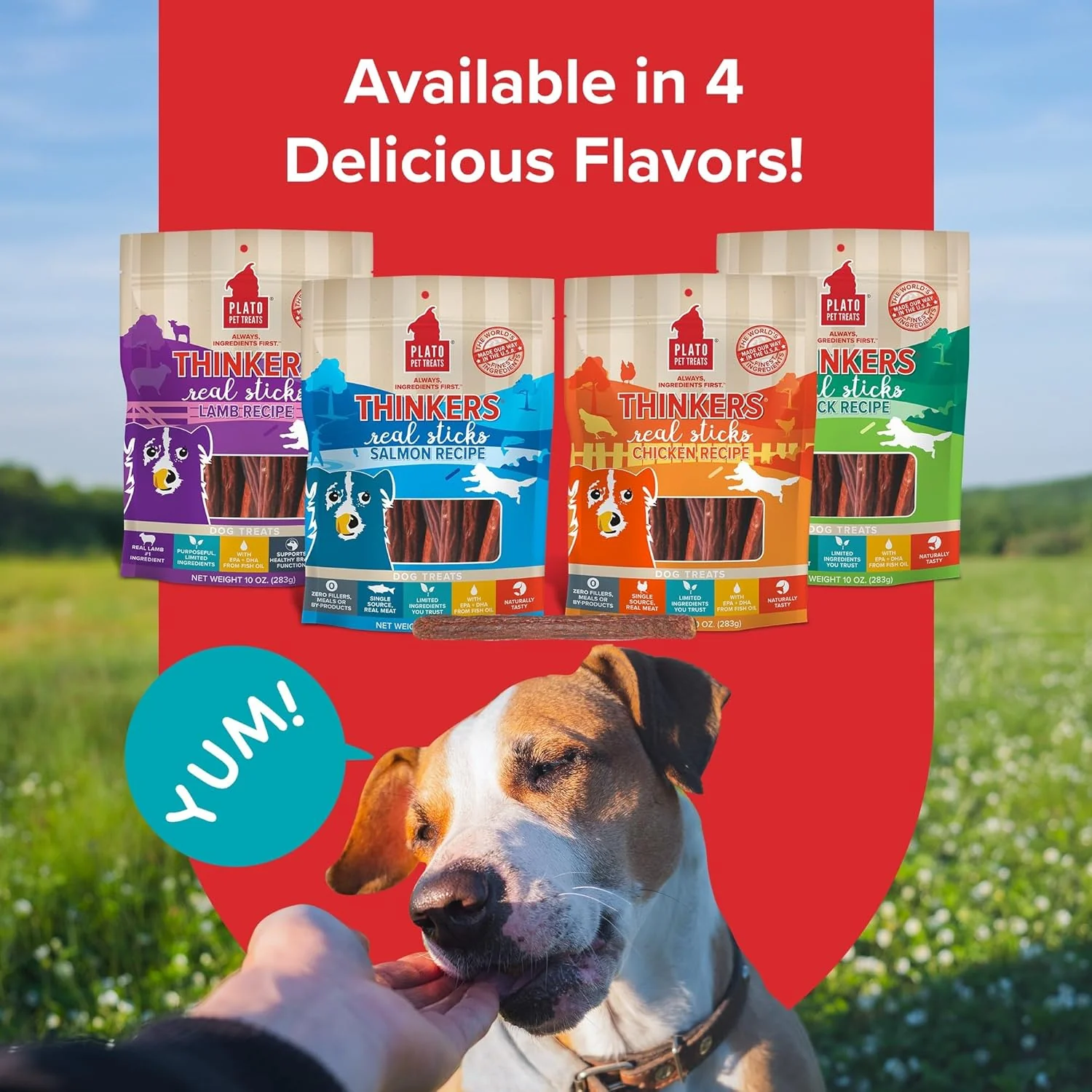 Plato Pet Treats Air Dried Dog Treats Salmon Thinkers Sticks, Natural Dog Treats, Real Meat, Air Dried, Made in the USA, 10oz - Image 6