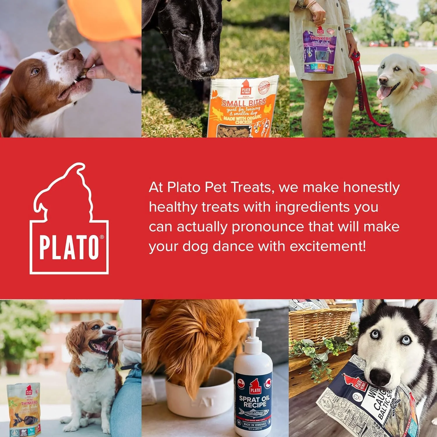 Plato Pet Treats Air Dried Dog Treats Salmon Thinkers Sticks, Natural Dog Treats, Real Meat, Air Dried, Made in the USA, 10oz - Image 8