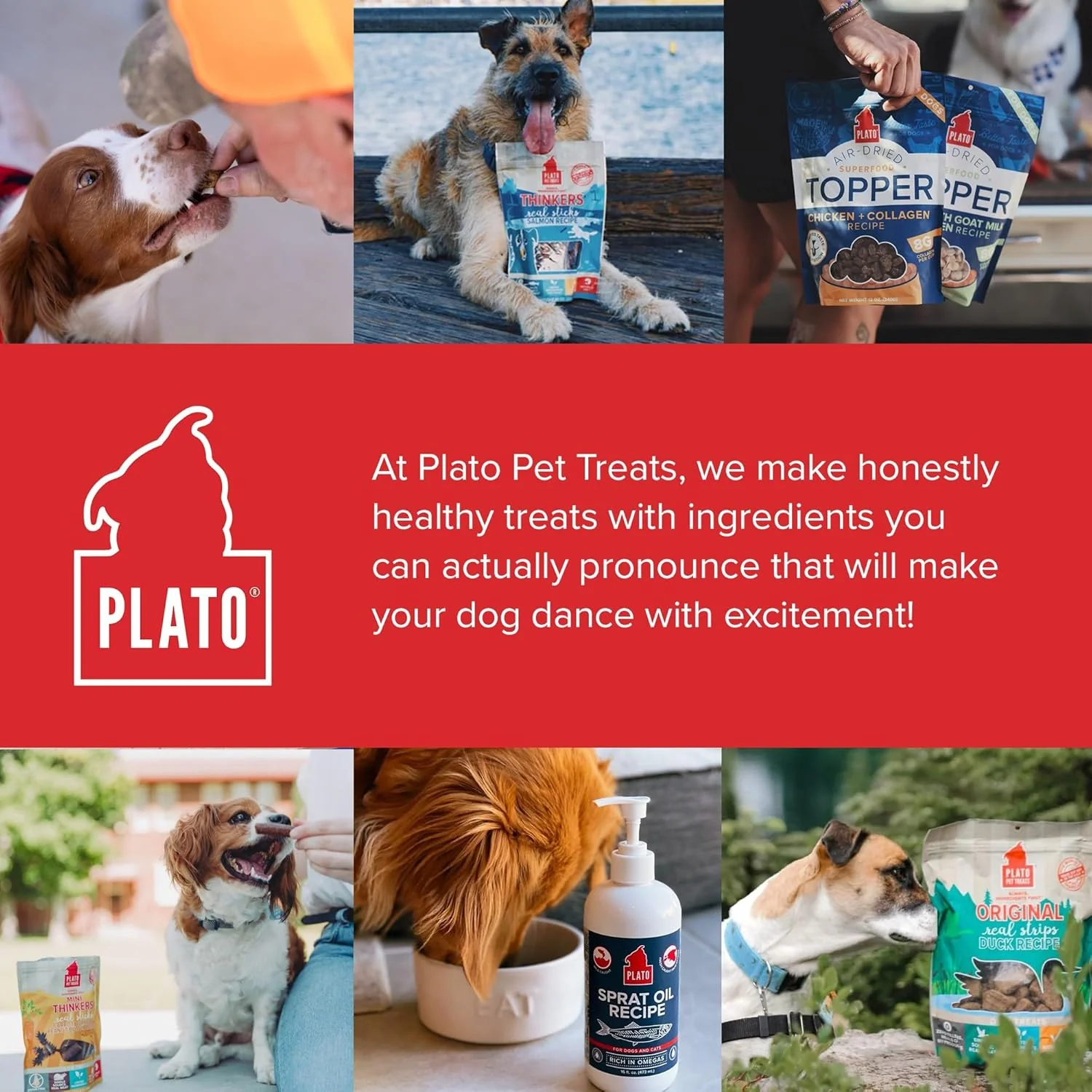 PLATO Pet Treats Dog Food Toppers - Air-Dried Dog Food Toppers for Dry Food - with Collagen to Support Skin and Coat Health - Venison, Lamb and Collagen Recipe - Image 8