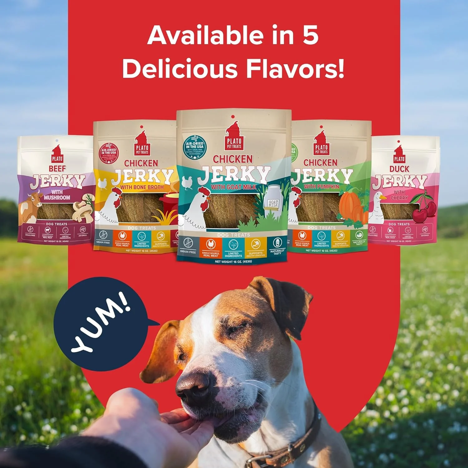 PLATO Pet Treats Dog Treats - Air-Dried Jerky - Delicious, Real Meat - Grain Free - Supports Healthy Digestion - Chicken with Goat Milk - Image 6