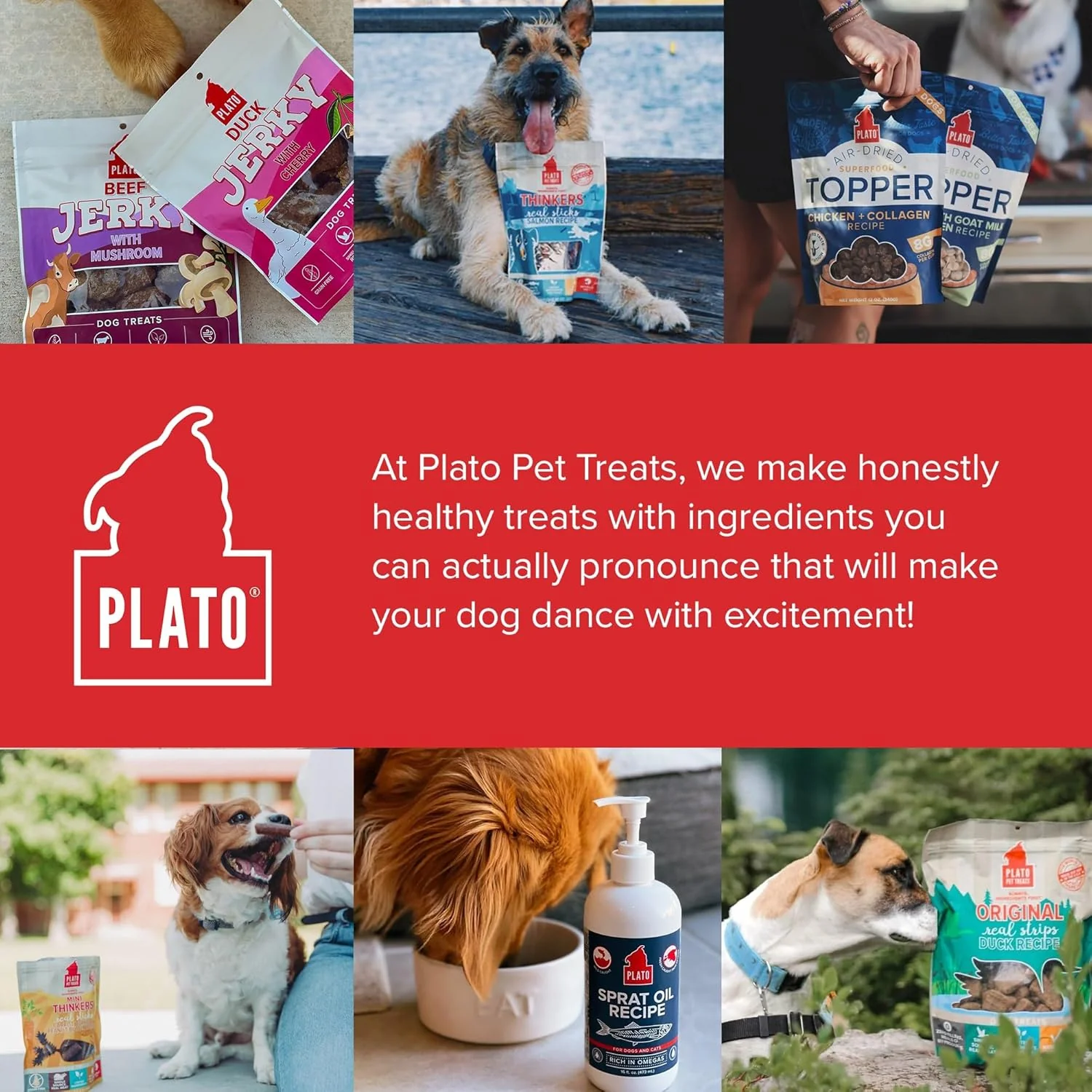 PLATO Pet Treats Dog Treats - Air-Dried Jerky - Delicious, Real Meat - Grain Free - Supports Healthy Digestion - Chicken with Goat Milk - Image 8