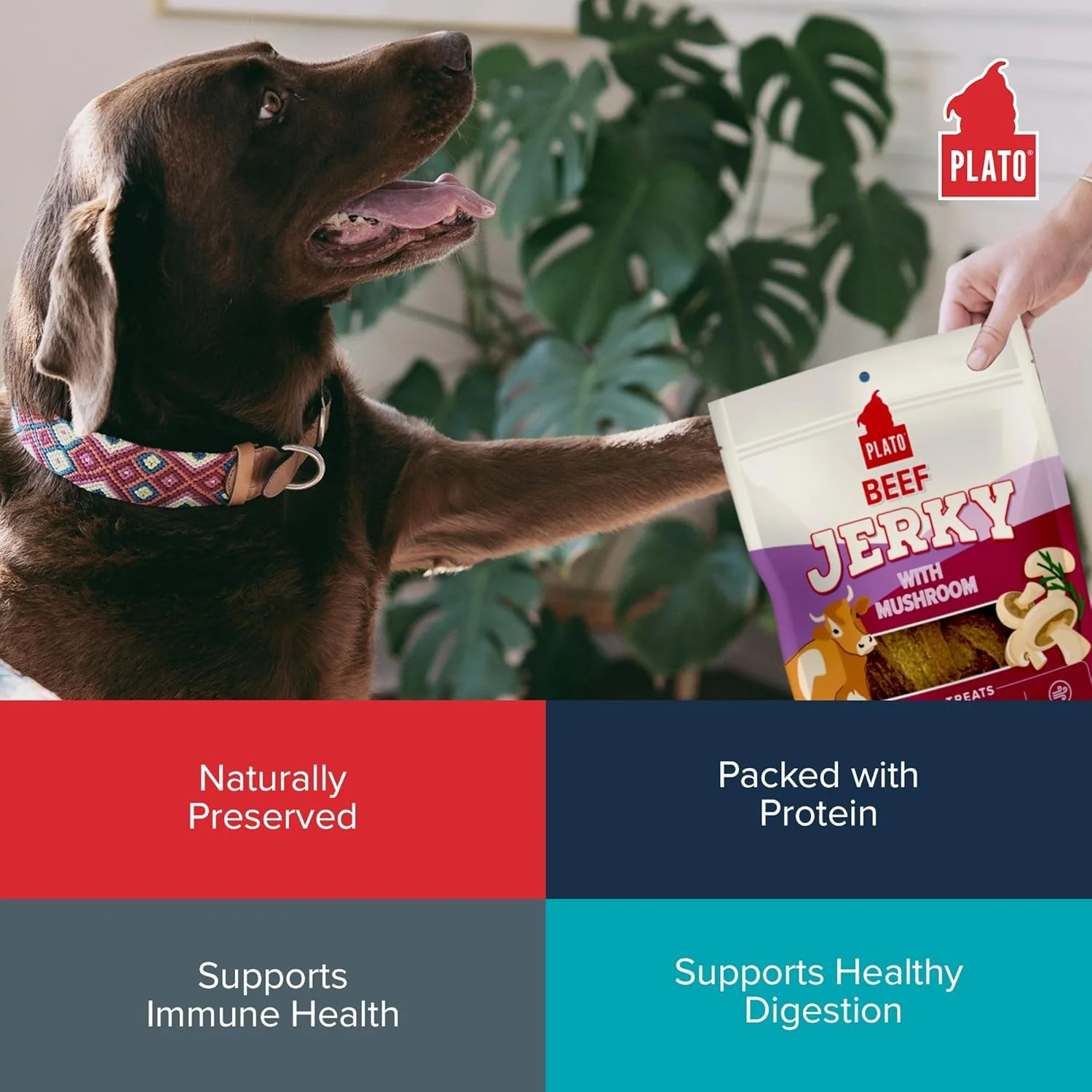 PLATO Pet Treats Jerky Dog Treats - Air-Dried Beef Jerky with Mushroom - Grain Free, High Protein - Image 6